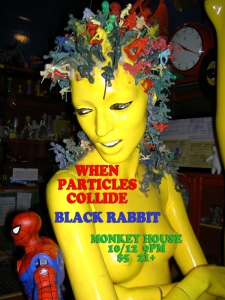 When Particles Collide & Black Rabbit at The Monkey House Winooski, VT 10.12.12
